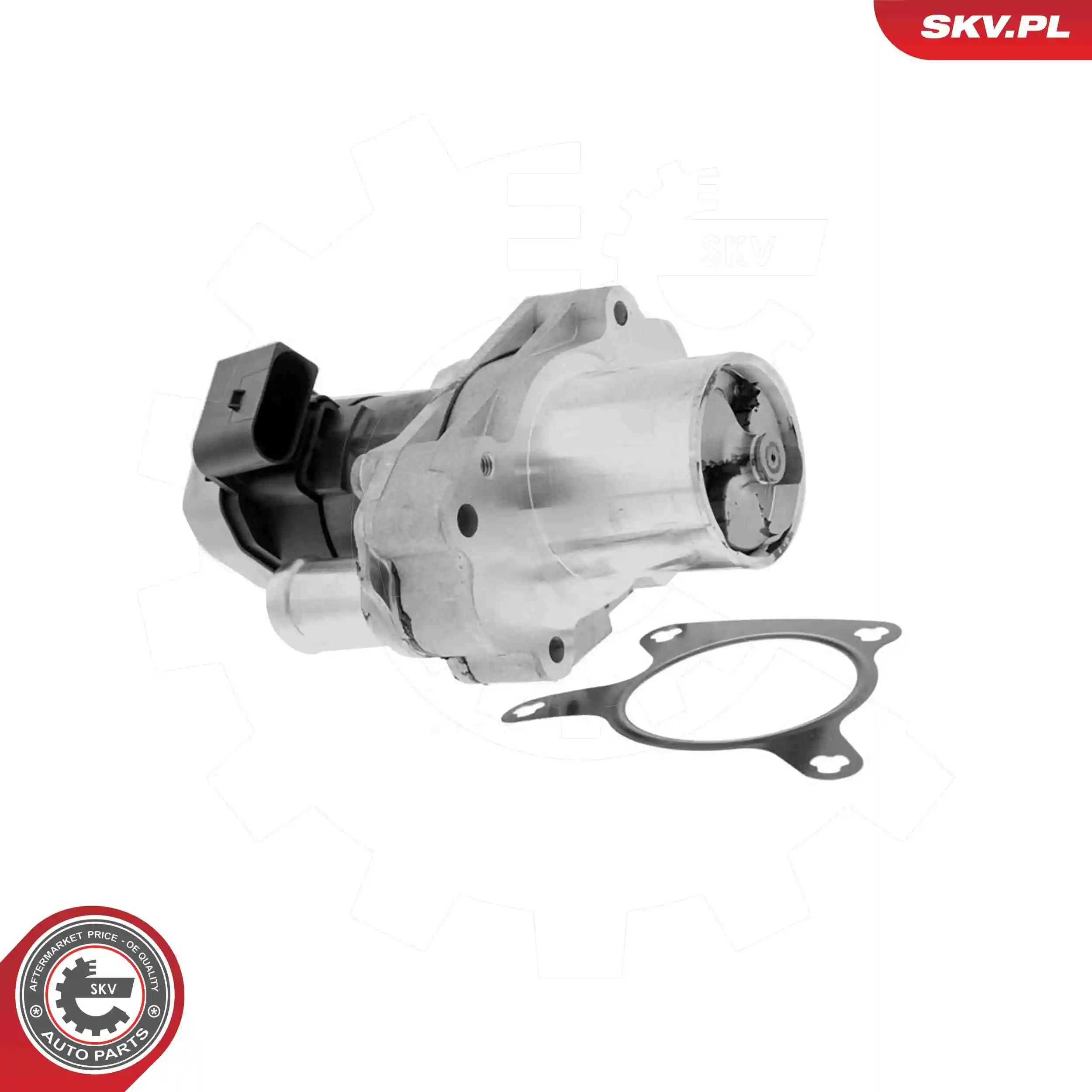 EGR Valve